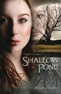 Cover: Shallow Pond - Flux