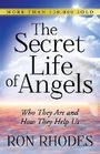 Cover: The Secret Life of Angels - Harvest House Publishers,U.S.