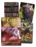 Cover: Cats Inspirational Oracle Cards - Llewellyn Publications
