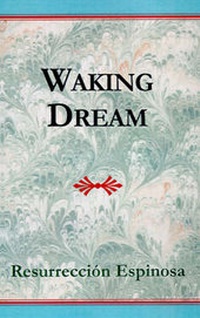 Enlarge image Cover: Waking Dream - Xlibris Corporation