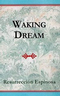 Enlarge image Cover: Waking Dream - Xlibris Corporation