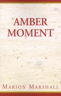 Cover: Amber Moment - Xlibris Corporation