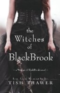 Cover: The Witches of BlackBrook - Amber Leaf Publishing