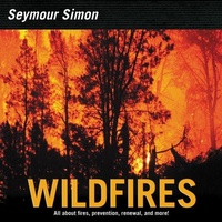 Enlarge image Cover: Wildfires - HarperCollins