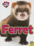 Cover: Caring for My Pet Ferret - Av2 by Weigl