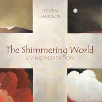 Enlarge image Cover: Shimmering World - Sentient Publications