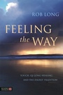 Cover: Feeling the Way - Singing Dragon