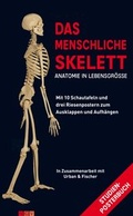 Cover: Das menschliche Skelett - Naumann & G&ouml;bel