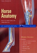 Cover: Horse Anatomy - Cadmos Equestrian