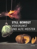 Cover: Still bewegt - Hirmer