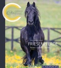 Cover: Friesenpferde - Cadmos Verlag