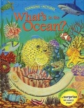 Cover: Changing Pictures: What's in the Ocean? - Silver Dolphin Books