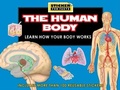 Cover: Sticker Fun Facts: The Human Body - Silver Dolphin Books
