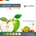 Cover: go te.comp - HAK Wirtschaftsinformatik: Kompetenzmodul 6 (inkl. Trainingssoftware) - te.comp lernsysteme