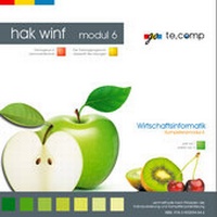 Abbildung von: go te.comp - HAK Wirtschaftsinformatik: Kompetenzmodul 6 (inkl. Trainingssoftware) - te.comp lernsysteme