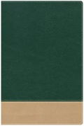 Cover: Teacher's Bible Green/Tan LeatherTouch - Broadman & Holman Publishers