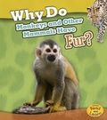 Cover: Animal Body Coverings Why Do Monkeys and Other Mammals Have Fur? - Capstone Press
