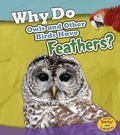 Cover: Animal Body Coverings Why Do Owls and Other Birds Have Feathers? - Capstone Press
