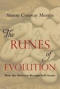 Enlarge image Cover: The Runes of Evolution - Templeton Foundation Press,U.S.