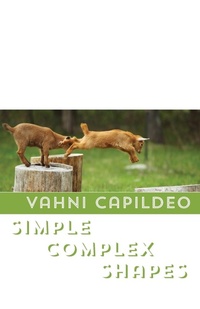 Enlarge image Cover: Simple Complex Shapes - Shearsman Books