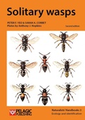 Cover: Solitary wasps - Pelagic Publishing