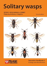 Abbildung von: Solitary wasps - Pelagic Publishing