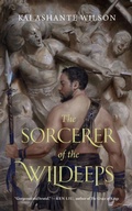 Cover: The Sorcerer of the Wildeeps - Tor Books