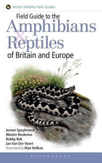 Abbildung von: Field Guide to the Amphibians and Reptiles of Britain and Europe - Bloomsbury Natural History