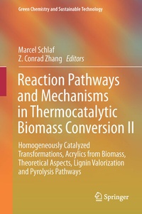 Abbildung von: Reaction Pathways and Mechanisms in Thermocatalytic Biomass Conversion II - Springer