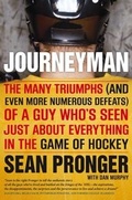 Cover: Journeyman - Viking