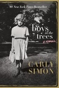 Cover: Boys in the Trees - St Martin's Press