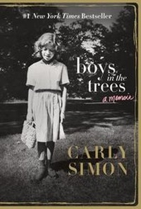 Enlarge image Cover: Boys in the Trees - St Martin's Press