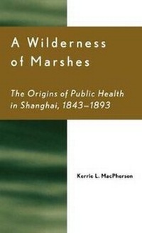 Enlarge image Cover: A Wilderness of Marshes - Lexington Books