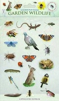 Cover: Garden Wildlife - Fine Feather Press Ltd