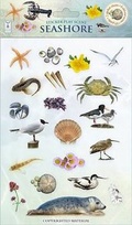 Cover: Seashore - Fine Feather Press Ltd