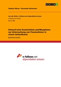 Cover: Entwurf einer Konstruktion und Messplanes zur Untersuchung von Flussturbinen in einem Umlaufkanal - Aus der Reihe: e-fellows.net stipendiaten-wissen, Bd. 1380