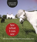 Cover: See What I can See - Auckland University Press