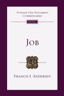 Cover: Job - IVP Academic