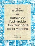 Cover: Histoire de l'admirable Don Quichotte de la Manche - Ligaran