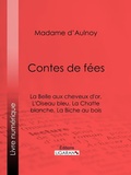 Cover: Contes de f&eacute;es : La Belle aux cheveux d'or, L'Oiseau bleu - Ligaran