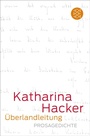 Cover: Überlandleitung - S. Fischer