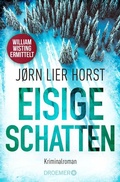 Cover: Eisige Schatten - Droemer