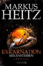 Cover: Exkarnation - Seelensterben - Knaur