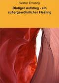 Cover: Blutiger Aufstieg - ein au&szlig;ergew&ouml;hnlicher Fiesling - neobooks