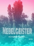Cover: Nebelgeister - neobooks Self-Publishing