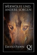 Cover: Werw&ouml;lfe und andere Sorgen - Qindie