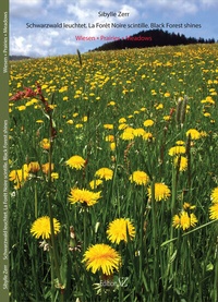 Abbildung von: Wiesen. Prairies. Meadows - Zerr, Sibylle