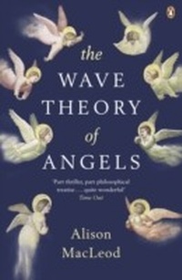 Enlarge image Cover: The Wave Theory of Angels - Penguin Books Ltd