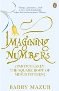 Cover: Imagining Numbers - Penguin Books Ltd