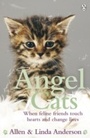 Cover: Angel Cats - Penguin Books Ltd